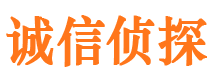 武平市私家侦探